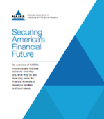 Securing America's Future